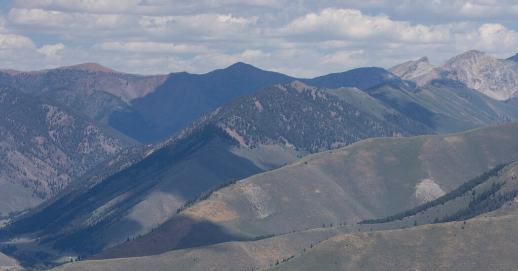 A Town's Housing Crisis Exposes a 'House of Cards'