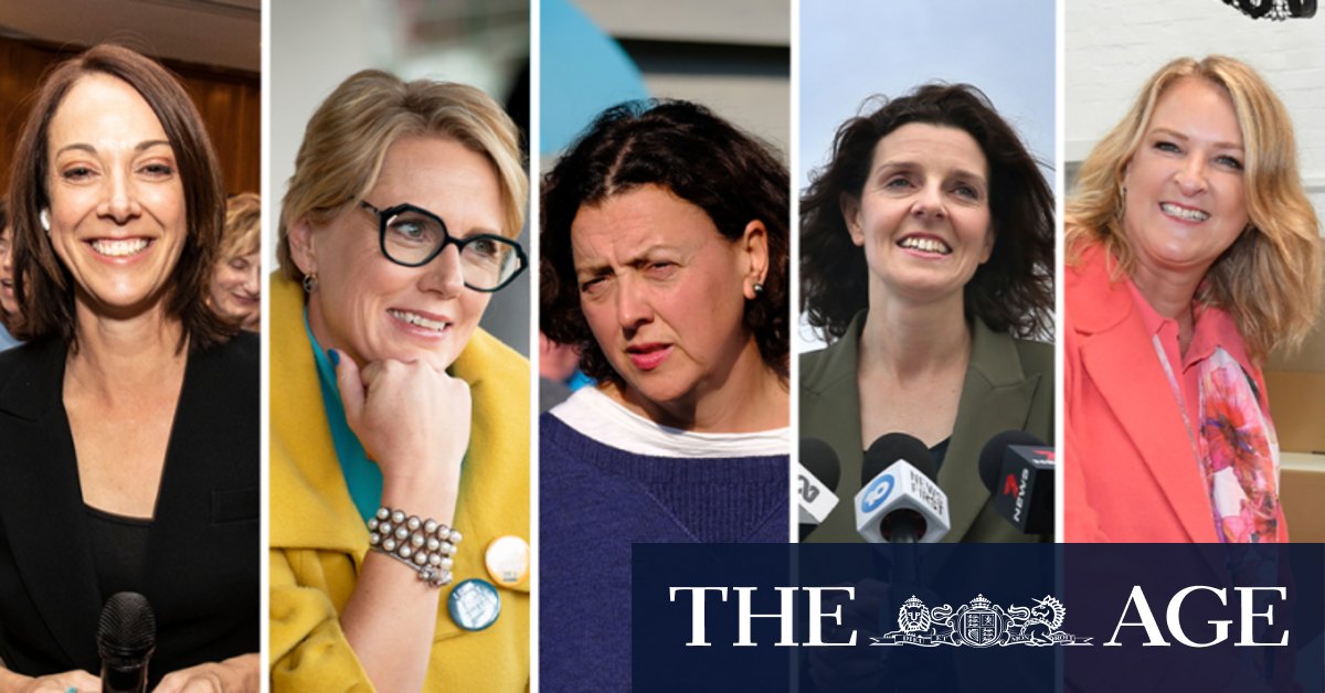 Teal independents could win a bag of seats off Matthew Guy's Liberal Party