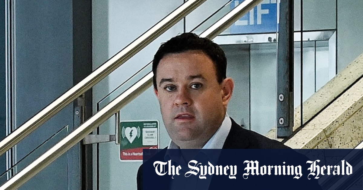 Veil lifted on Barilaro papers, pressure mounts on Ayres to step aside