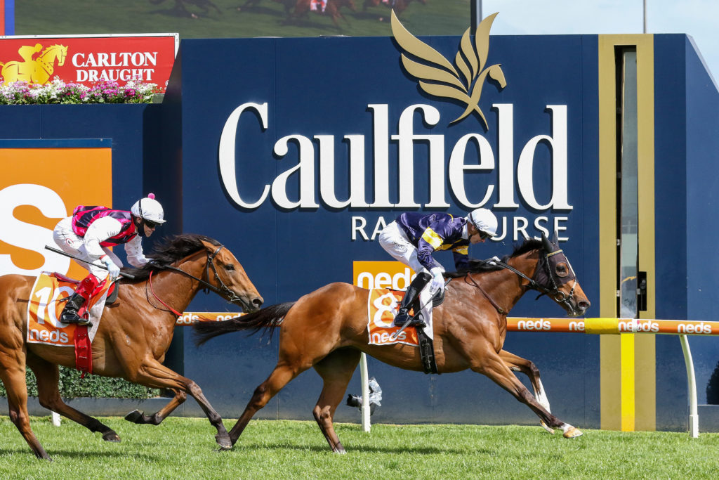 8/13/2022 Horse Racing Tips and Best Bets – Caulfield, PB Lawrence Stakes day