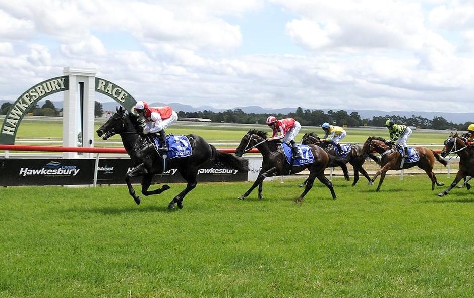 9/8/2022 Horse Racing Tips and Best Bets – Hawkesbury