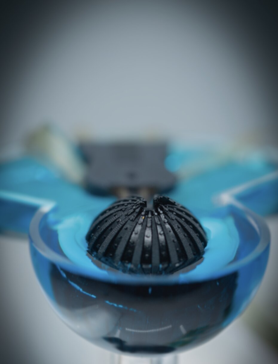 A crab-inspired artificial vision system for both terrestrial and aquatic environments