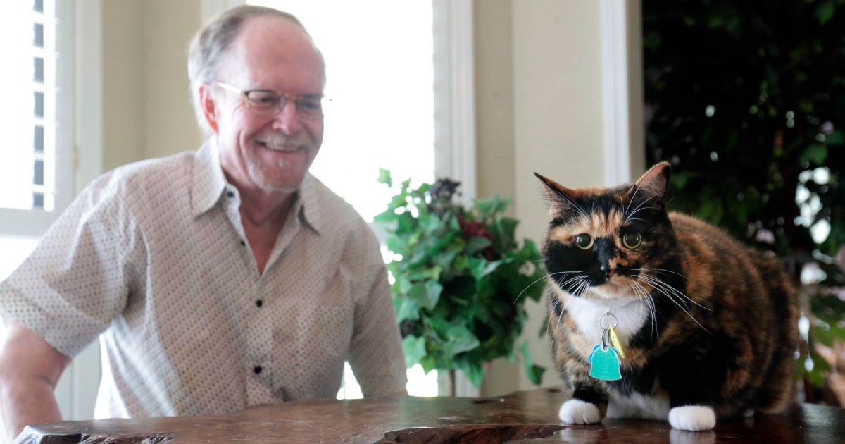 A 'guard cat' named Bandit helped stopped an armed robbery at the home of a Mississippi man