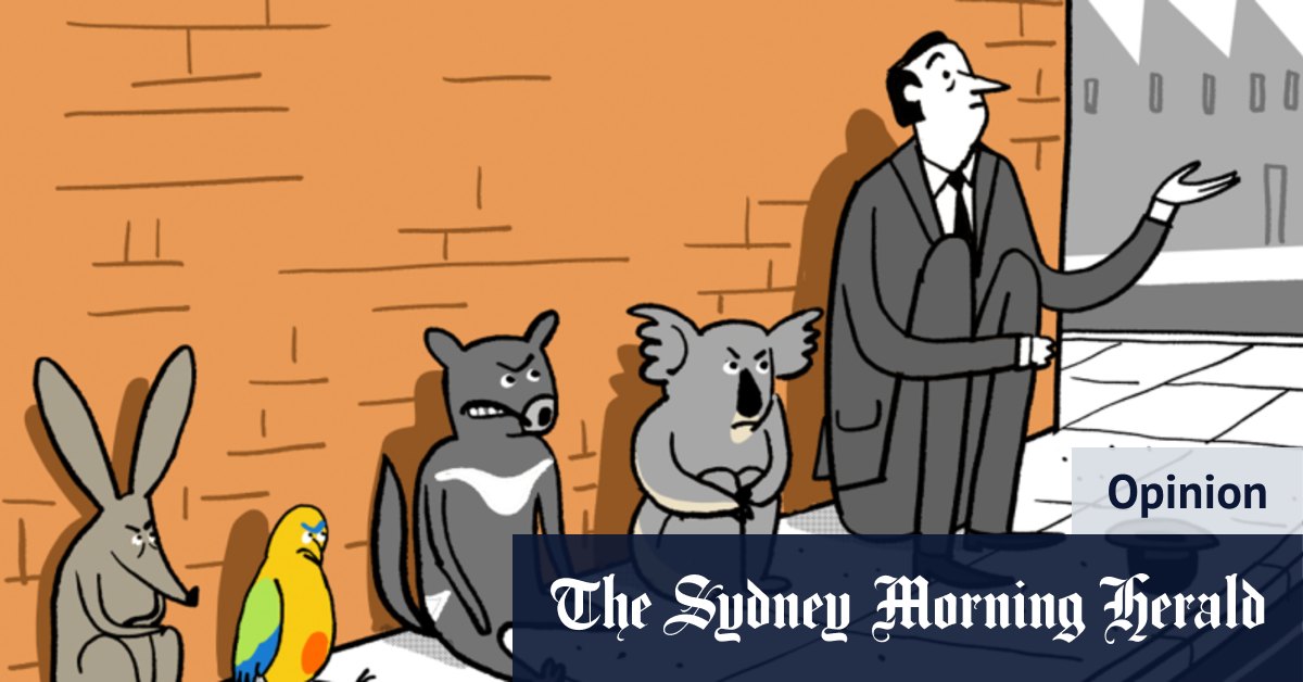 A wounded environment leads to an unliveable economy