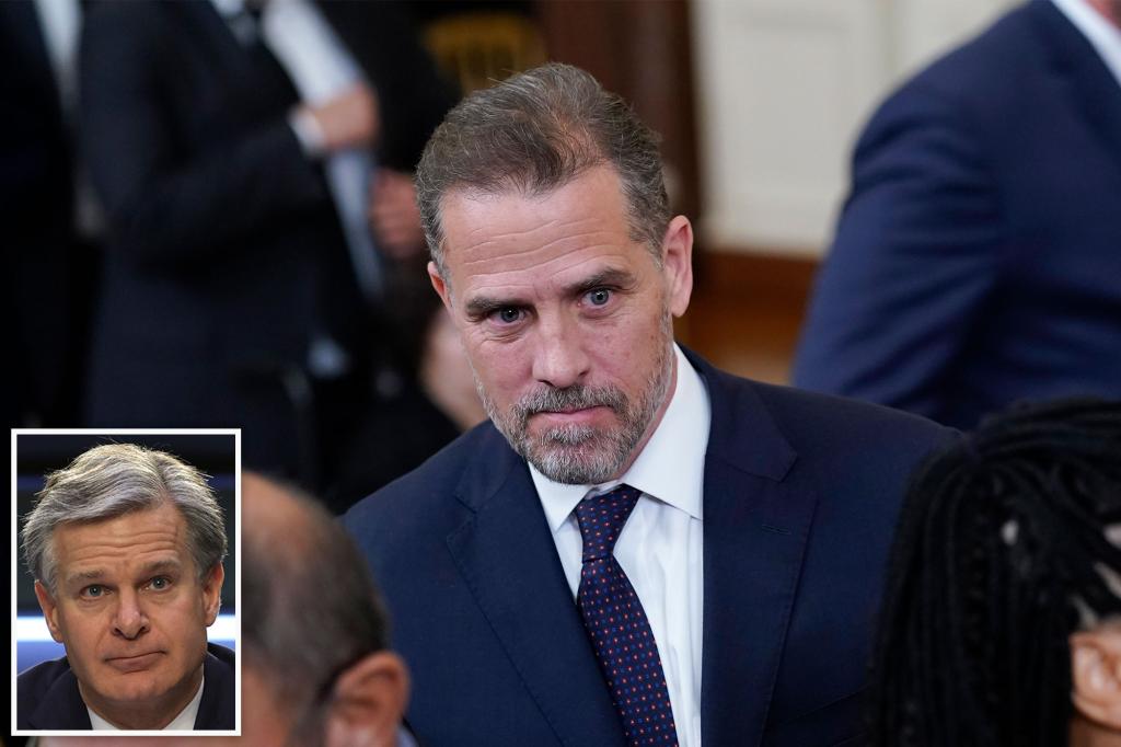 Alleged bias in Hunter Biden probe 'deeply troubling': FBI Director Wray