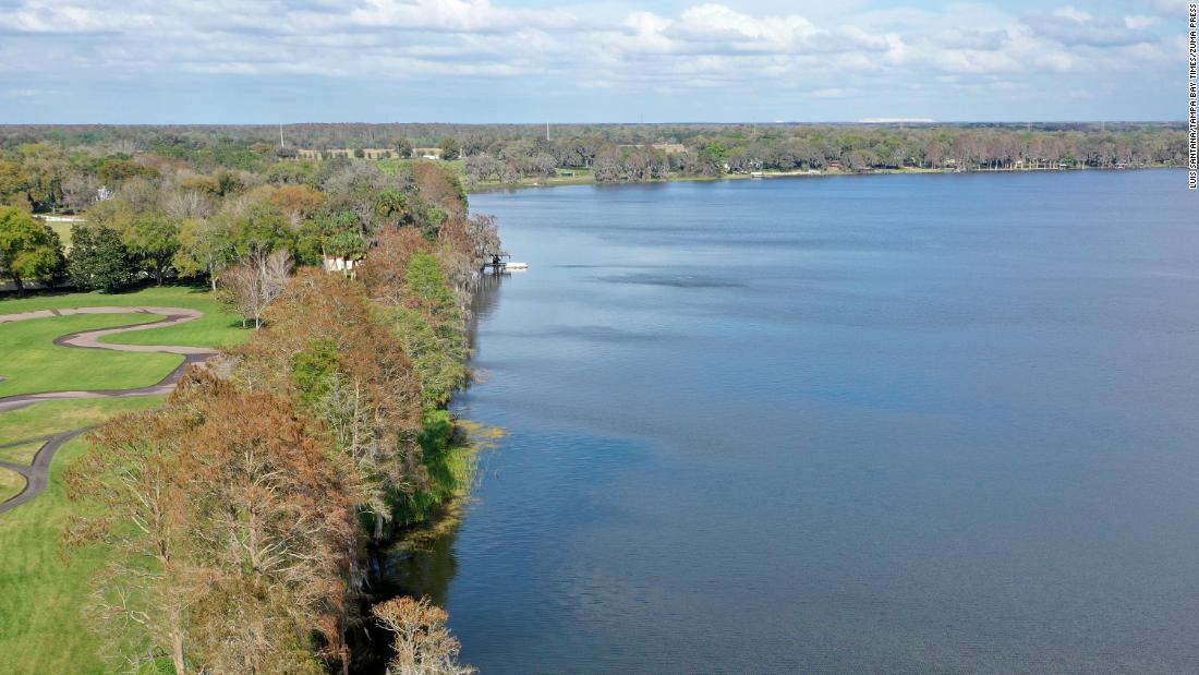 An alligator bit a man's face at Lake Thonotosassa in Florida