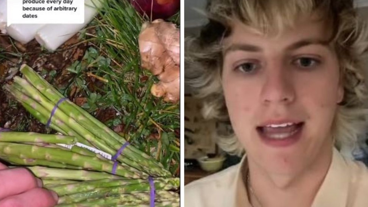Aussie TikTok user goes dumpster diving for fresh fruit and vegetables