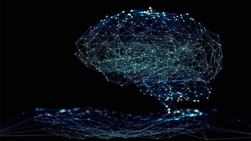 Australian researchers develop new communication system inspired by rare NT Aboriginal language Jingulu