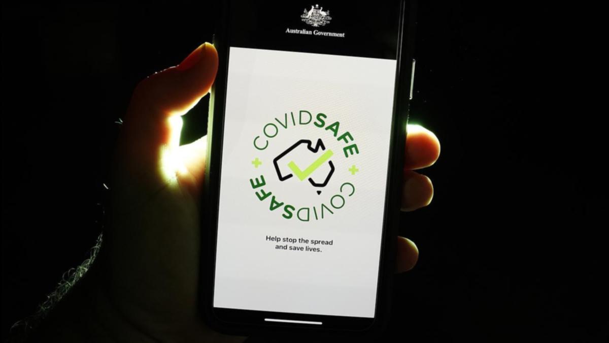 COVIDsafe app decommissioned, slammed as 'wasteful and ineffective' by Albanese Government