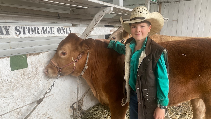 A boy wearing a cowboy hat stands next to a cow