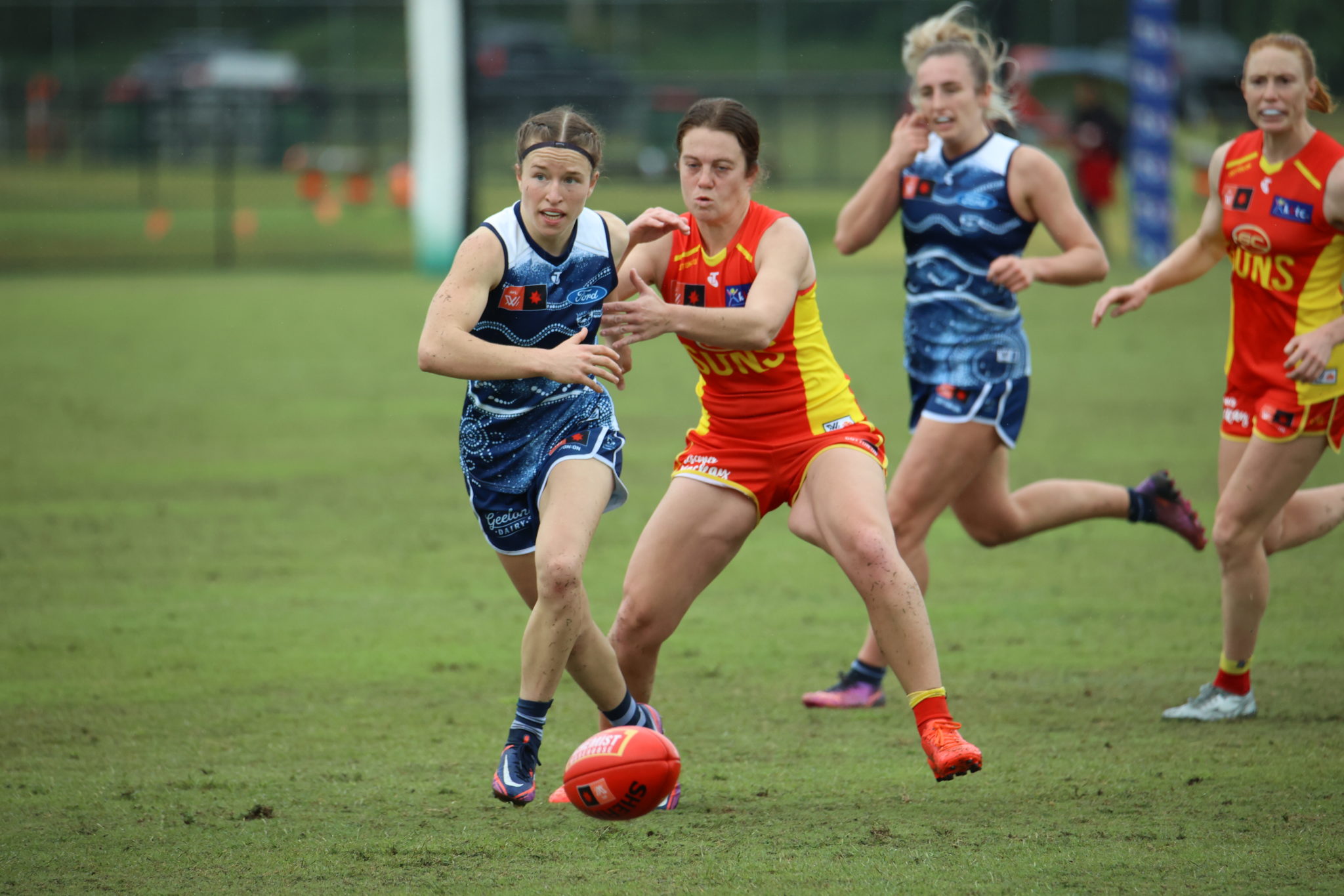 Clean Cats eclipse Suns - bay 93.9 Geelong