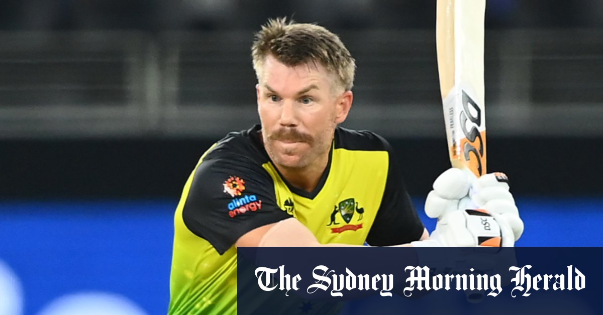 David Warner free to explore T20 options, says Sydney Sixers signing Kurtis Patterson
