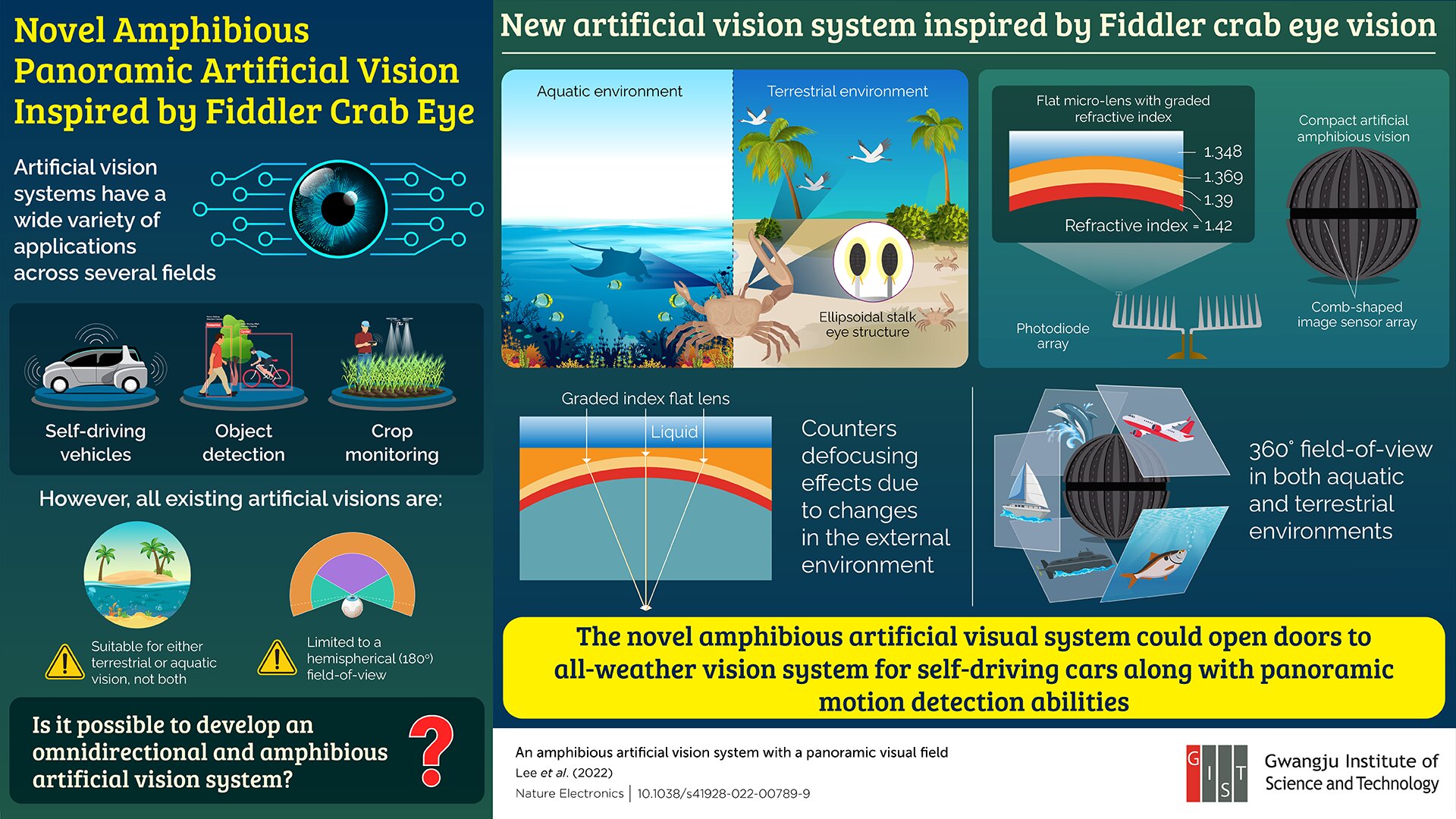 Fiddler crab eye view inspires researchers to develop novel artificial vision
