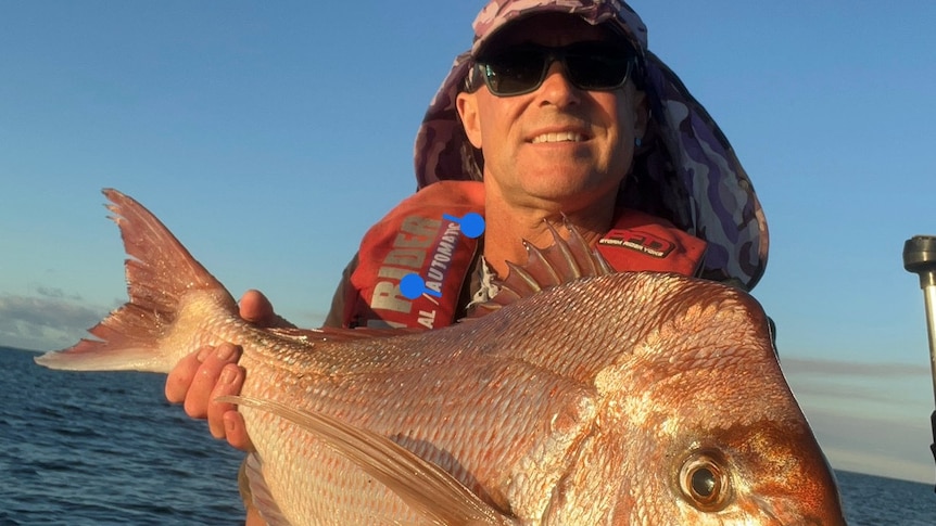 Fish species opting for a sea change are making Tasmanian fishers happy