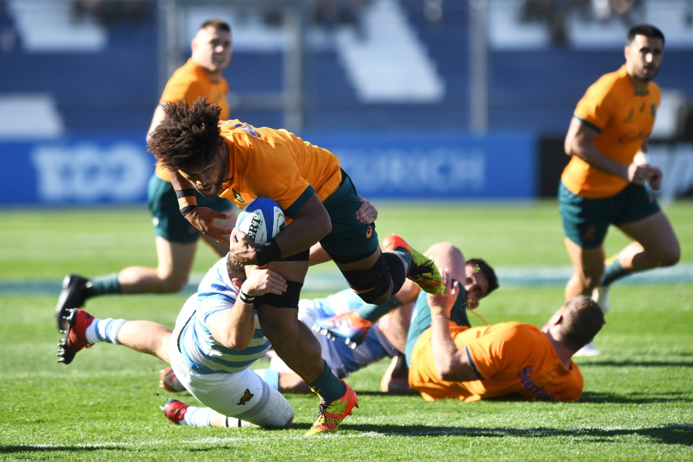 Five things we learned from Argentina vs Wallabies |  Latest Rugby News