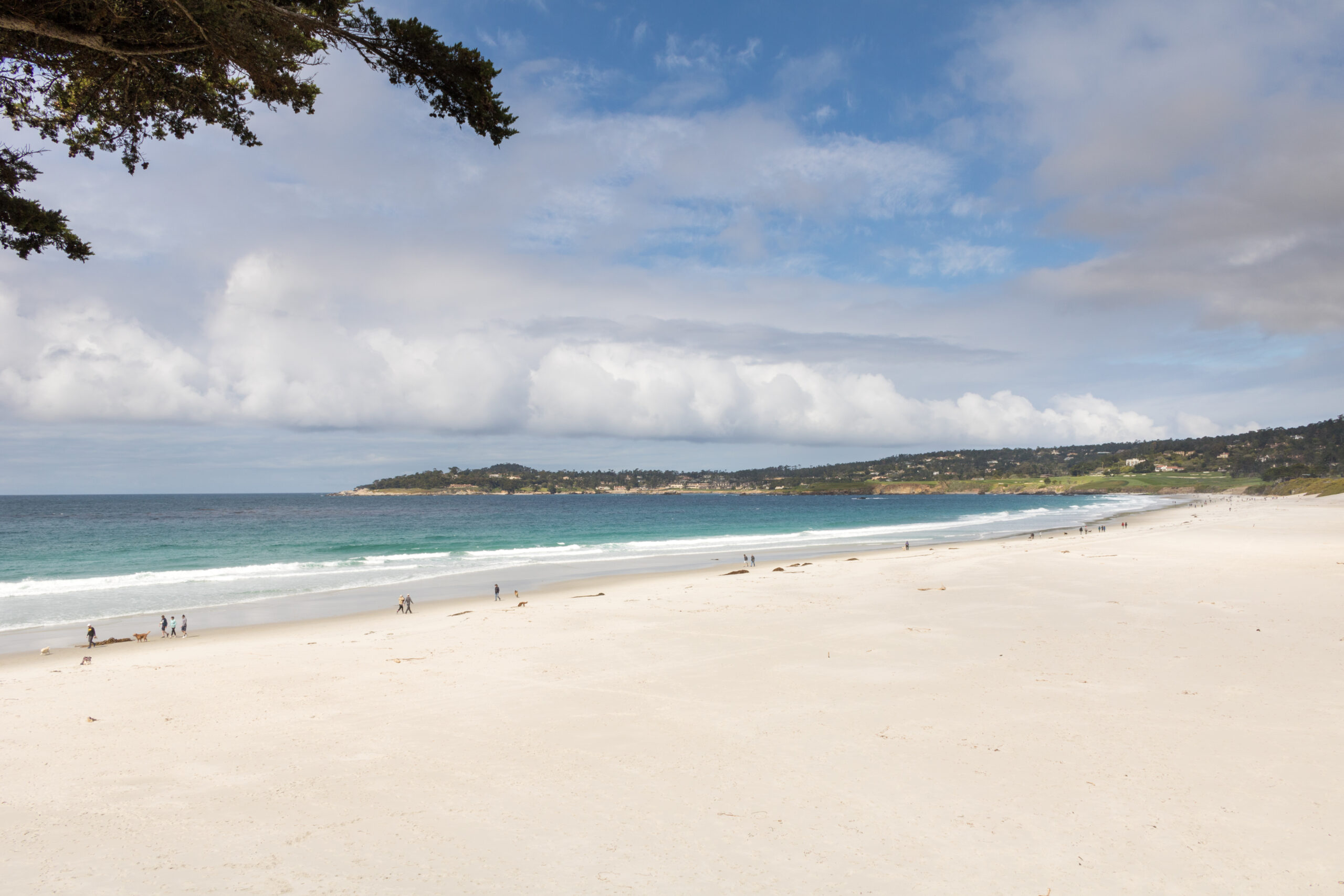 Florida man filming sunrise dies after sand dune collapses on him