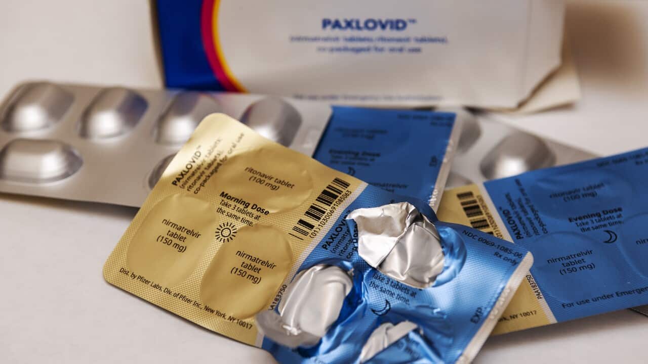 COVID-19 antiviral medication in blister packs.