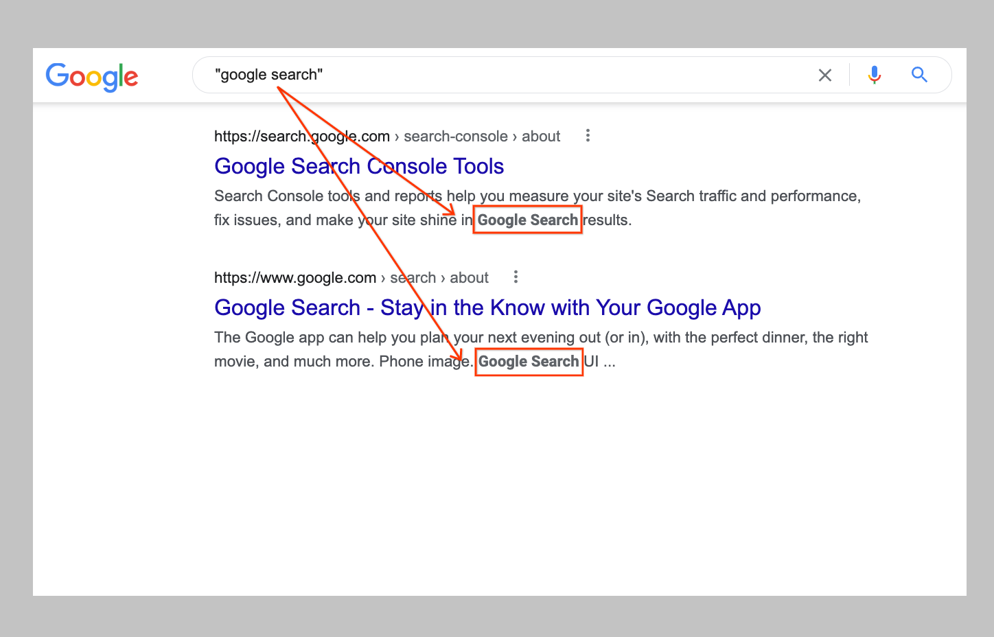 Google's Quoted Searches Will Now Appear In Bold So Users Can See The Most Relevant Results / Digital Information World