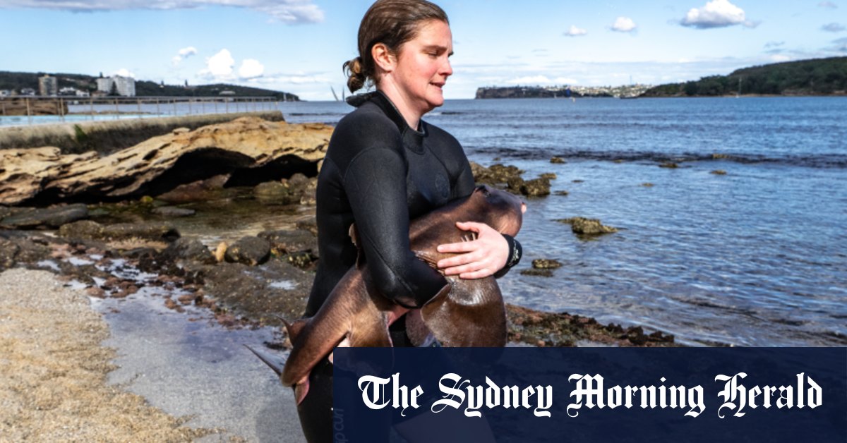 How Gerry was freed from Sydney ocean pool