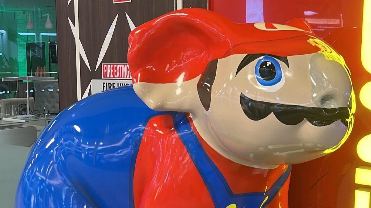 I’m Still Haunted By The Super Mario Koala 4 Years After Seeing It In The Wild