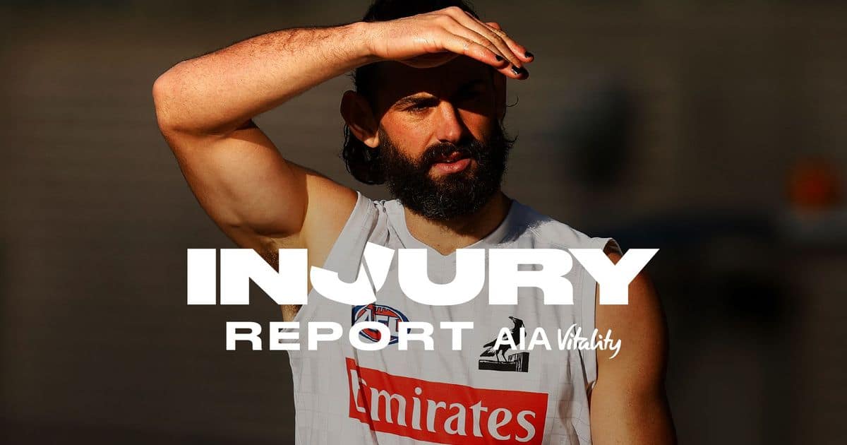 Injury Report: Round 22