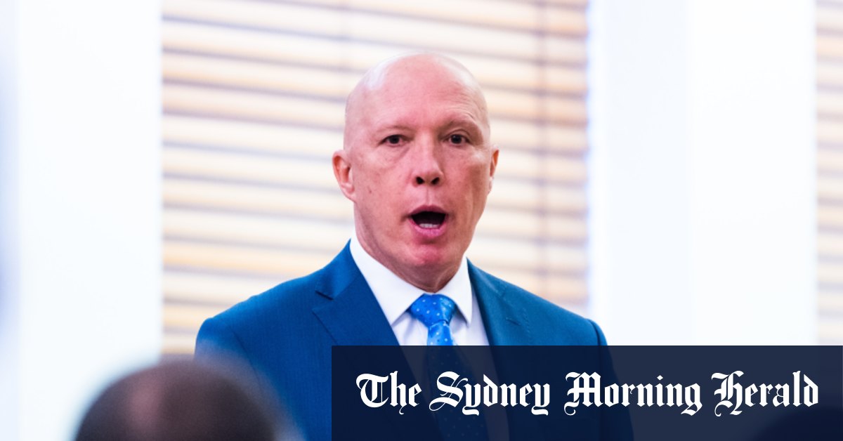 Inside the Liberal Party's debate on how to win back Chinese-Australians and teal voters