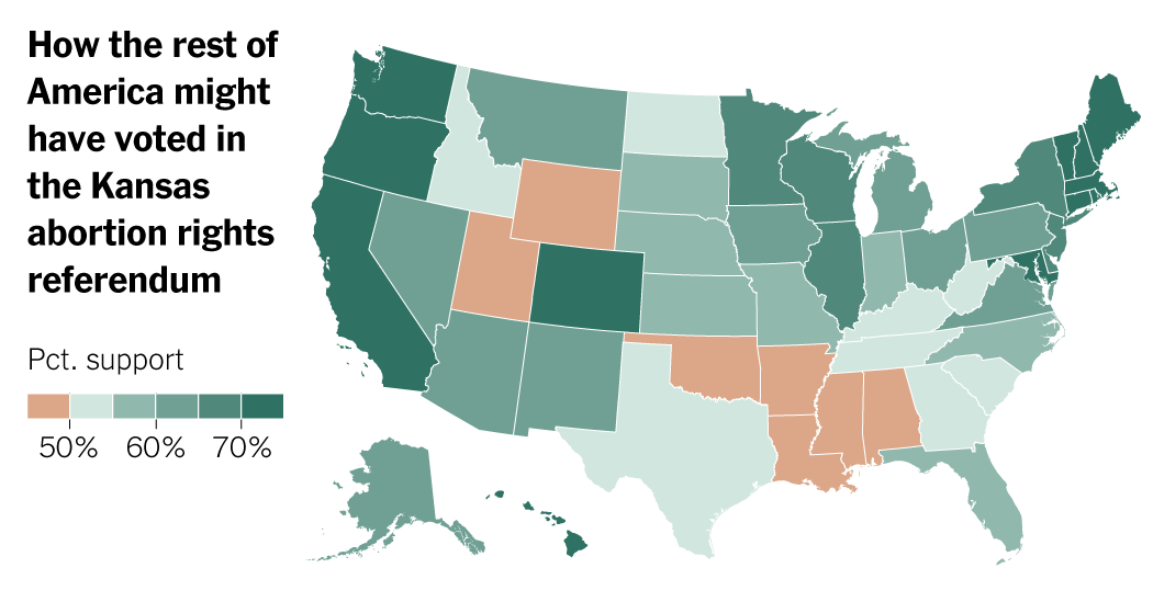 Kansas Result Suggests 4 Out of 5 States Would Back Abortion Rights in Similar Vote