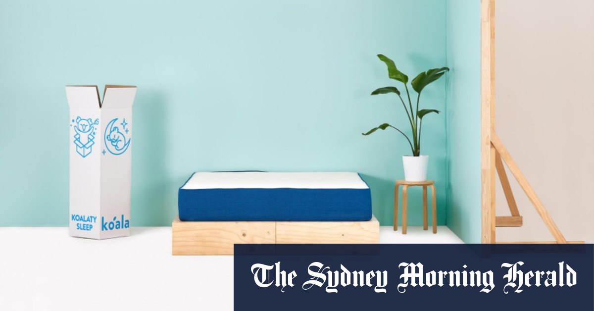 Koala cuts jobs, hits brakes on Korean expansion