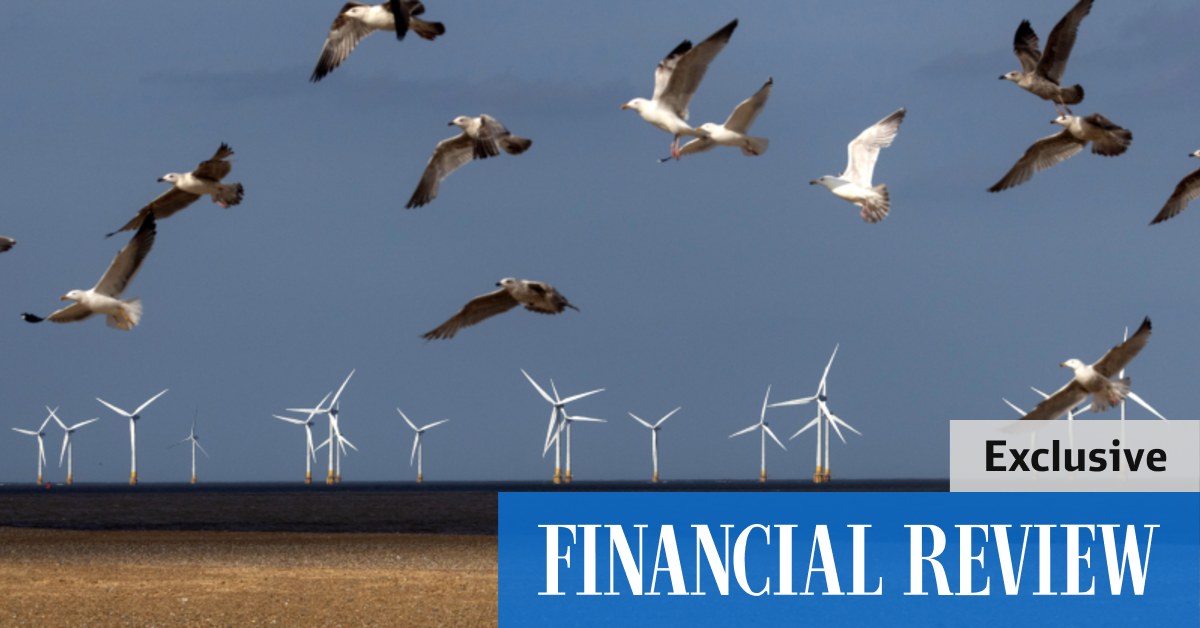 Labor accelerates development of offshore wind projects