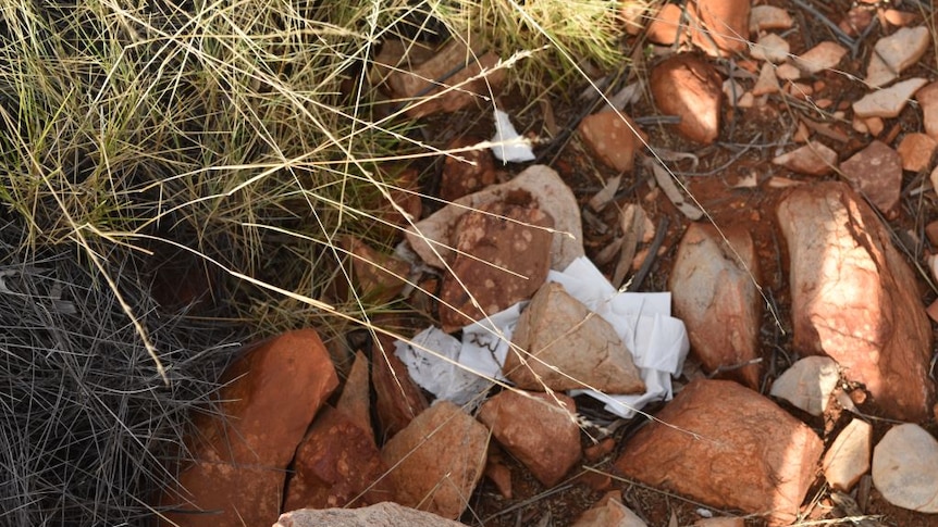 Rocks covering white toilet paper on hiking trail.