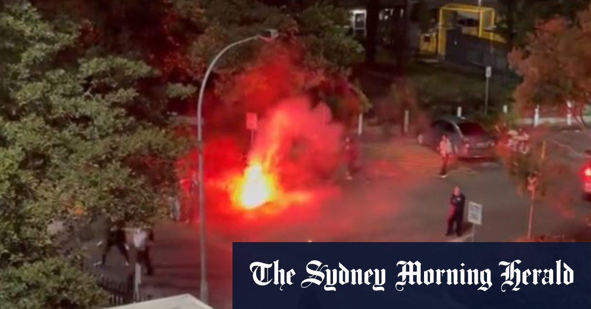 Leichhardt Oval brawl erupts after Sydney FC v Central Coast Mariners match