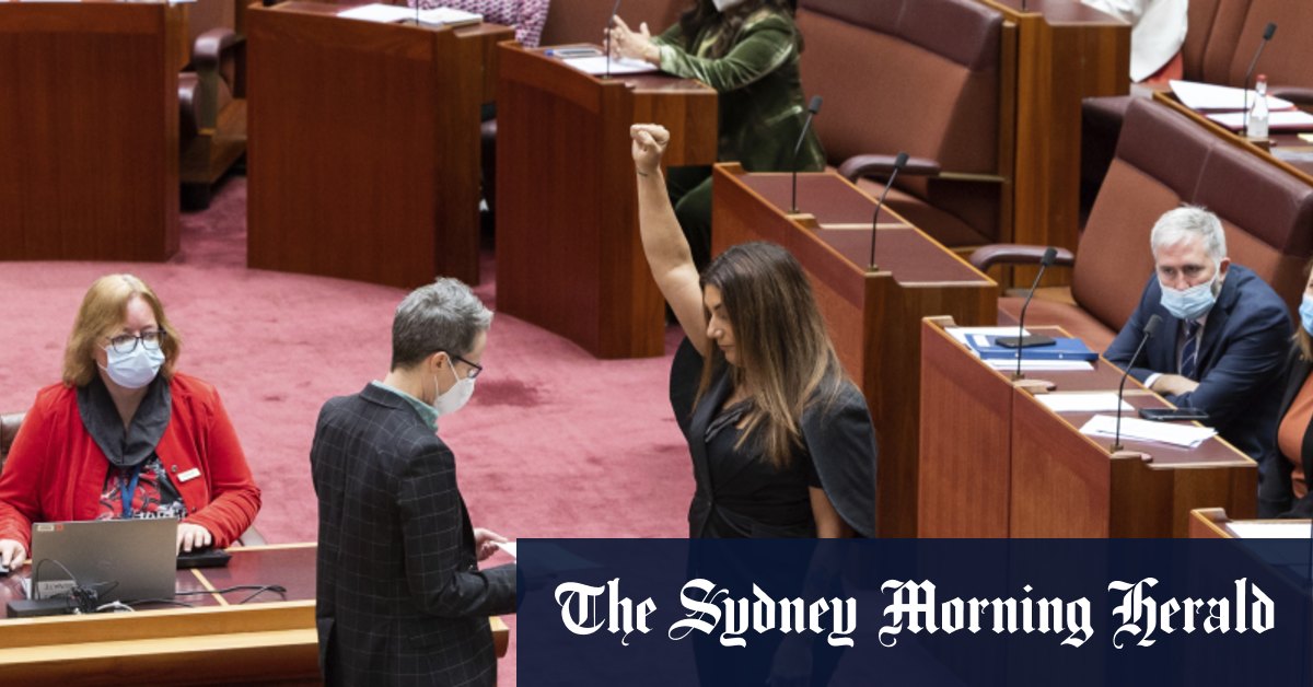Lidia Thorpe's 'colonizing' oath ruled out of order as Scott Morrison returns as a backbencher