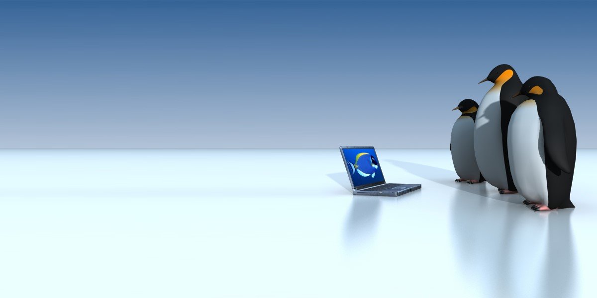 Linus Torvalds looses Linux 5.19 using Asahi Linux on a Mac • The Register