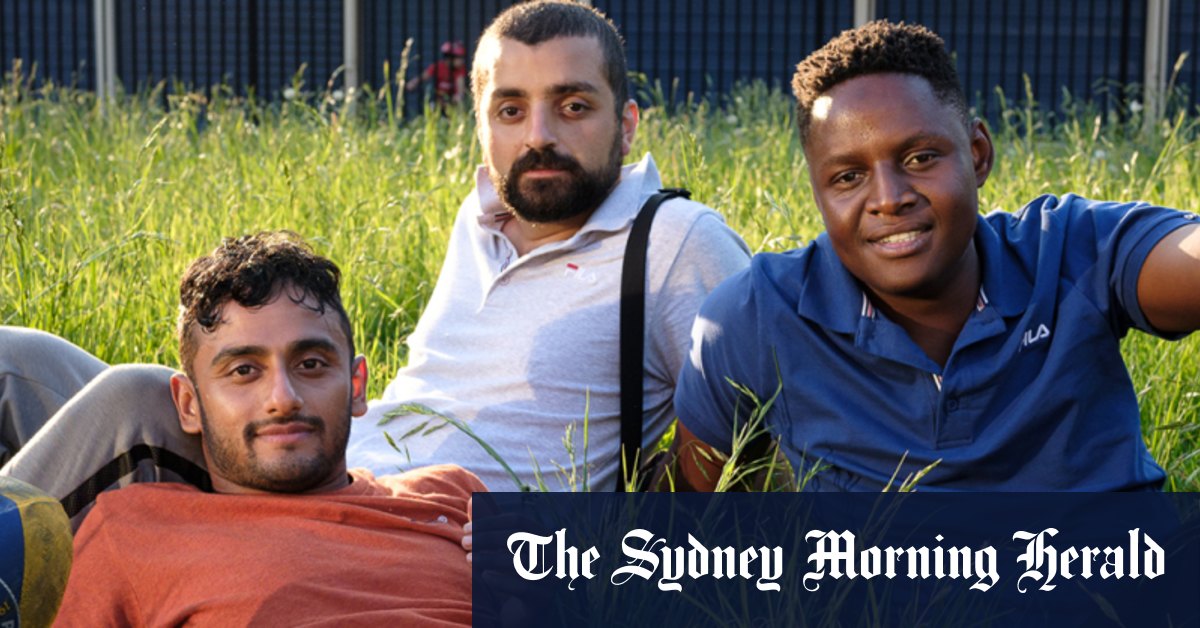 Many standouts in a vibrant portrait of Sydney's inner west