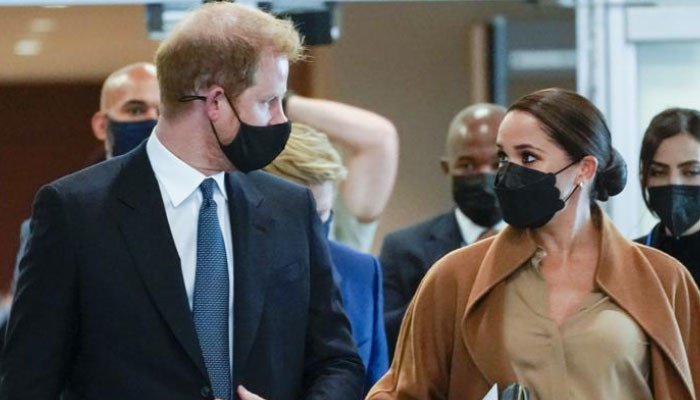 Meghan Markle 'deliberately' proved Harry 'unpopularity' at UN: 'Paves way for politics'