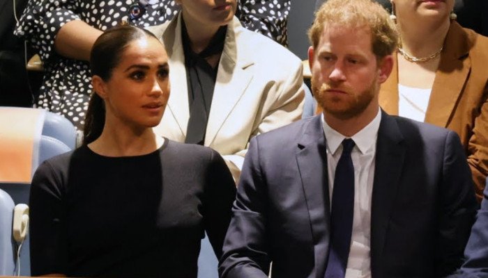 Meghan Markle 'wants answers' for empty seats at Prince Harry's UN speech
