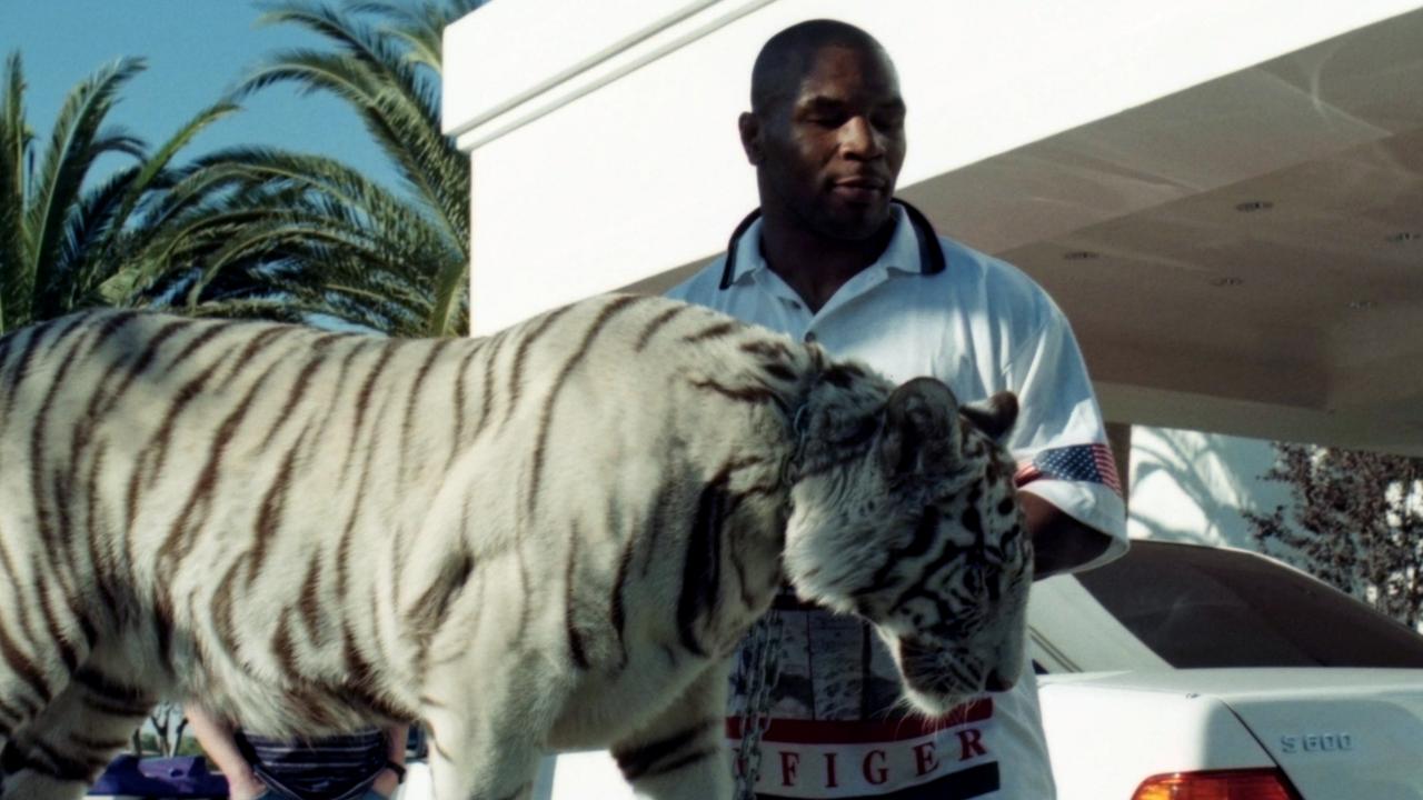 Mike Tyson lost pet tiger when he tried to eat neighbor's dog, boxing news
