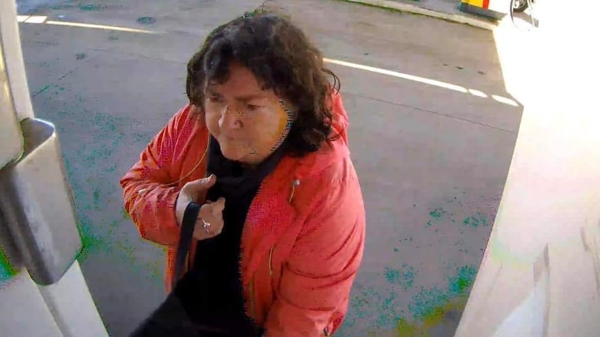 Missing Adelaide woman Colleen South seen on CCTV at Victorian petrol station