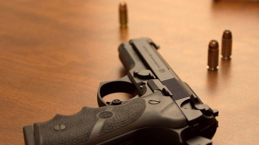 More than two dozen WA residents own more than 100 firearms each — all approved by police