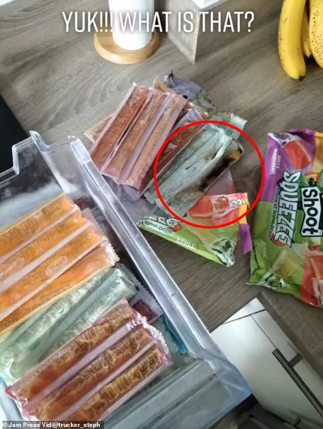 Stephenie, 32, from Kent, claims she found 'black sludge' floating inside a Fruit Shoot Squeezee Pop bought from Wilko, that she was intending to feed to her one-year-old son