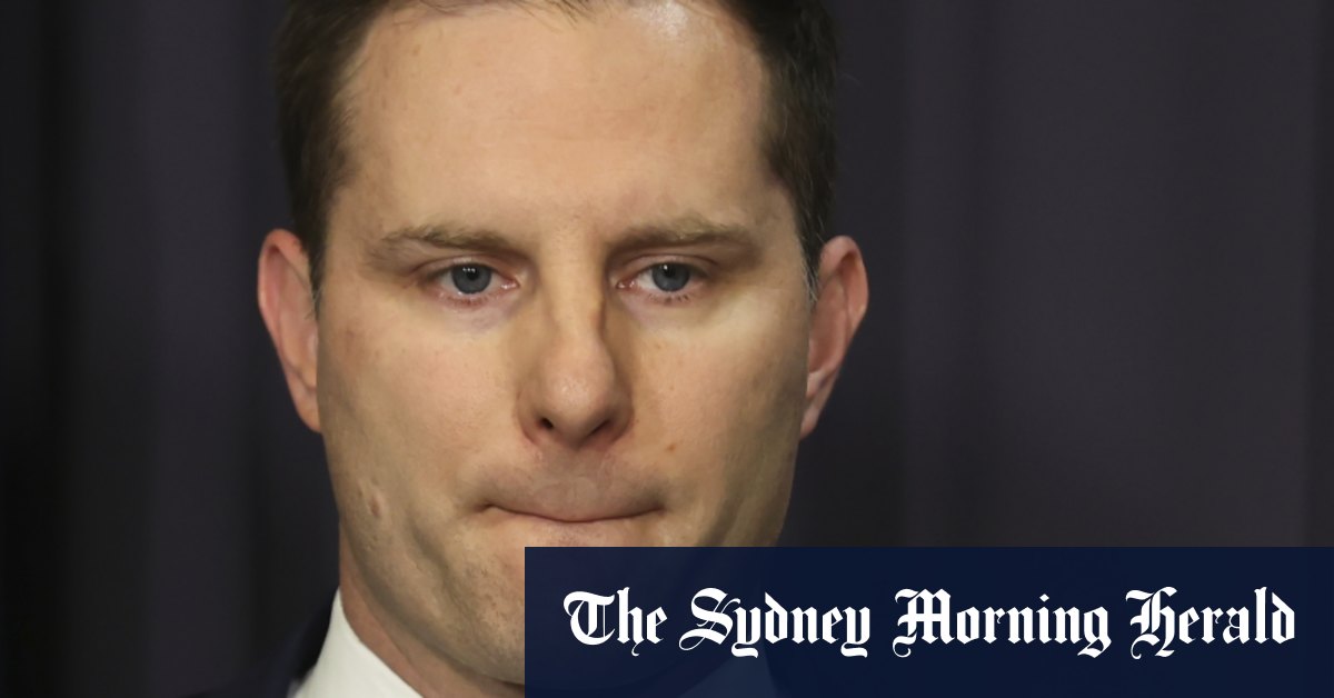 NSW Young Liberals roast former minister Alex Hawke in federal election review