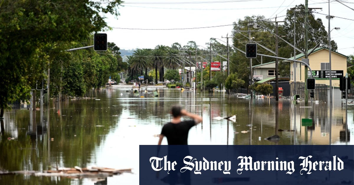 NSW flood response to include buybacks, land swaps for Northern Rivers homes