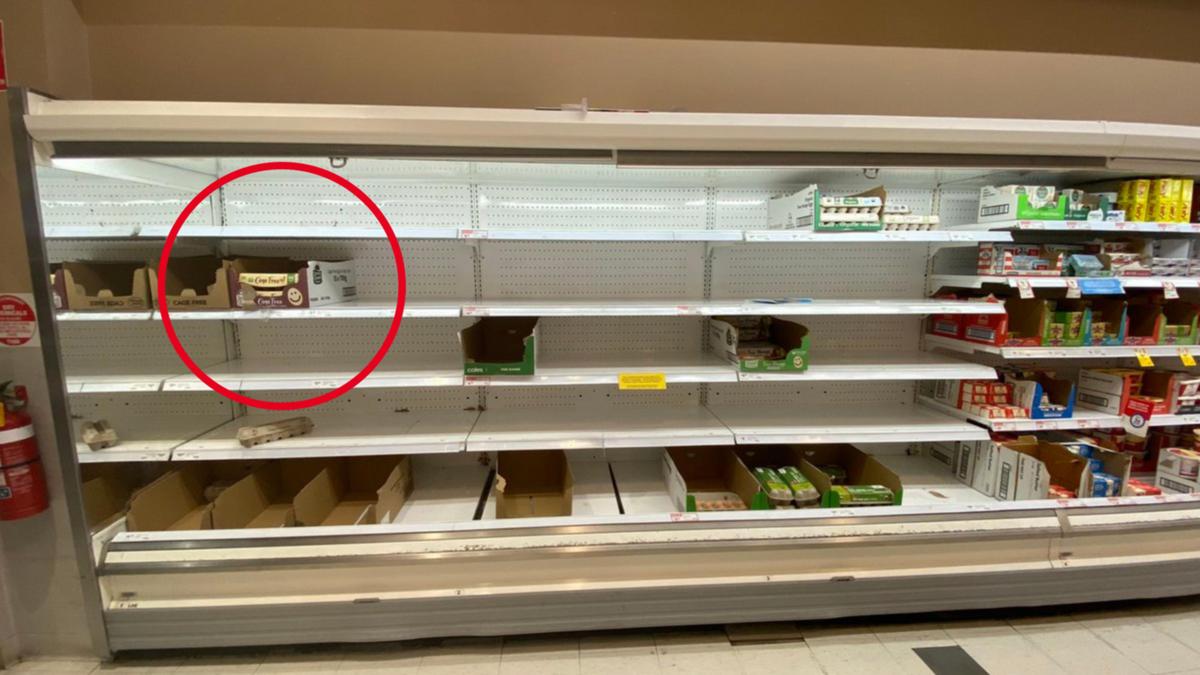 New restrictions: Coles and Woolworths supermarkets egg shortage continues across country