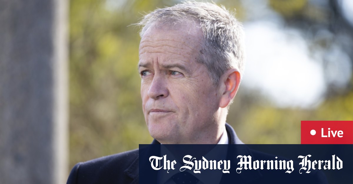 Organized crime strips more than $1b from NDIS;  experts call on Plibersek to tighten marine protections;  gunman arrested after shots fired inside Canberra Airport;  China-Taiwan tensions grow;  Labor to bring in tens of thousands of skilled migrants;  education ministers pledge to tackle teacher shortages