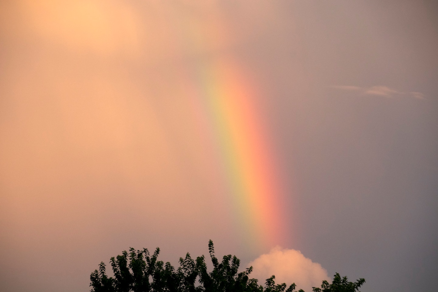 PM Update: Scattered downpours into evening, with a hot and humid repeat Tuesday