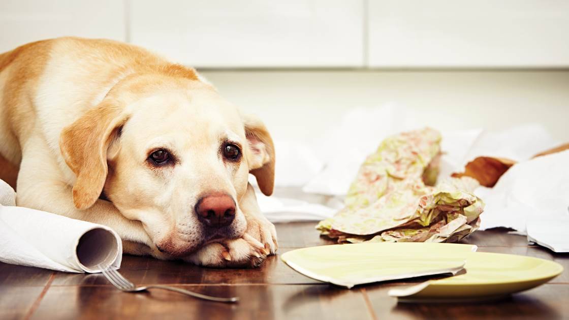 Patch Wednesday fixes two-year-old Dogwalk vulnerability - Security