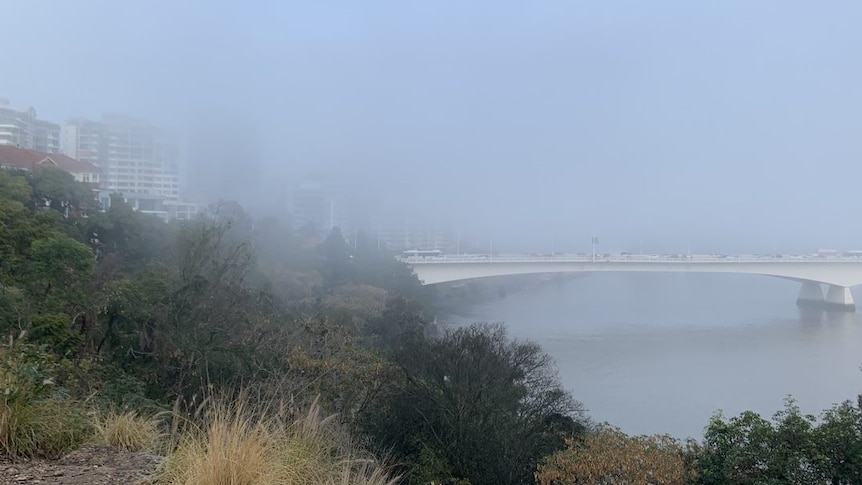 Pea soup fog again covers Brisbane and spreads along coast into north Queensland