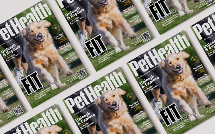 Pet Health Australia Is The New Print Magazine Especially For Your Pets