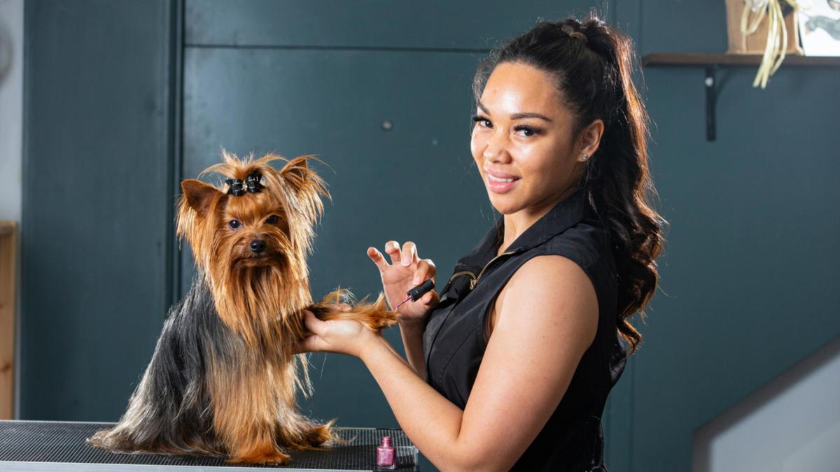 Pet grooming Perth: Couture Canine co-founder Charmaine Cayeux opens up on growing demand from fur parents