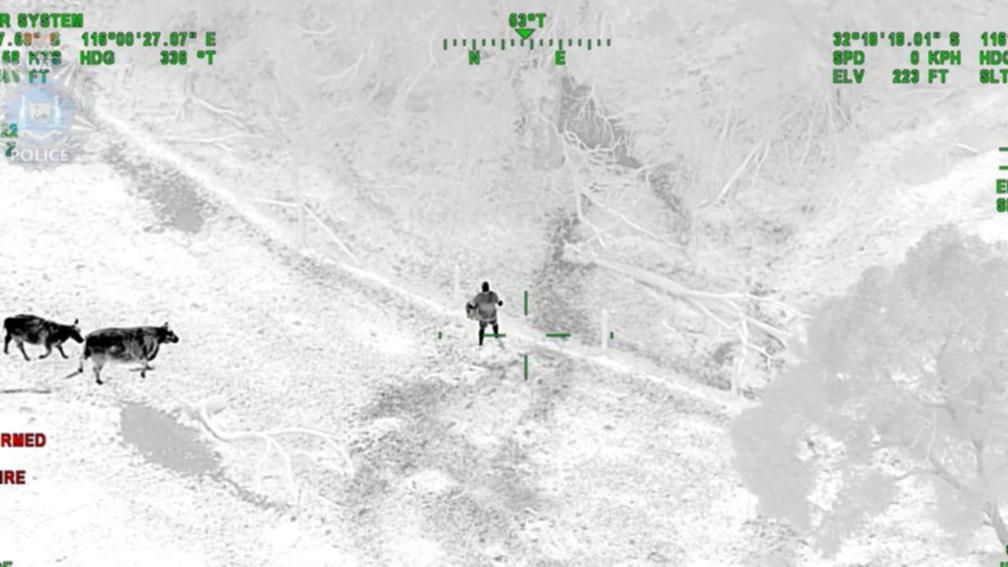 Police pursuit in Mundizong ends after man is chased away by a herd of cattle